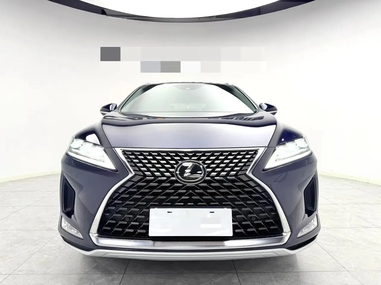 Lexus RX (Imported) 2020 RX300 2.0T Four-wheel Drive Elegant Edition (Modified) Automatic Gear 2