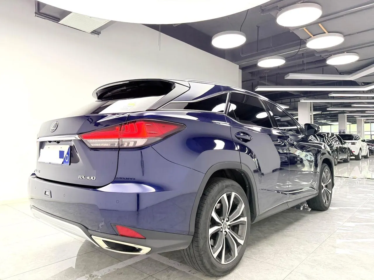 Lexus RX (Imported) 2020 RX300 2.0T Four-wheel Drive Elegant Edition (Modified) Automatic Gear 6