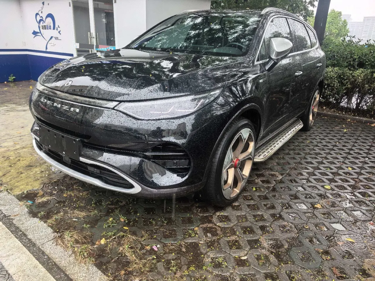 Denza 2020 Denza X PHEV 2.0T Ultimate Automatic Gear - View 1