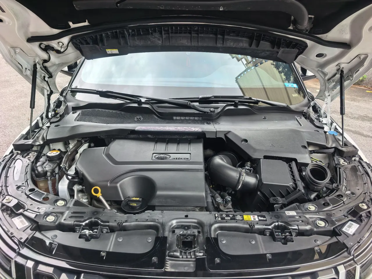 Land Rover 2020 Range Rover Evoque 48V 2.0T 249PS R-DYNAMIC S Sports Edition Automatic Gear 7