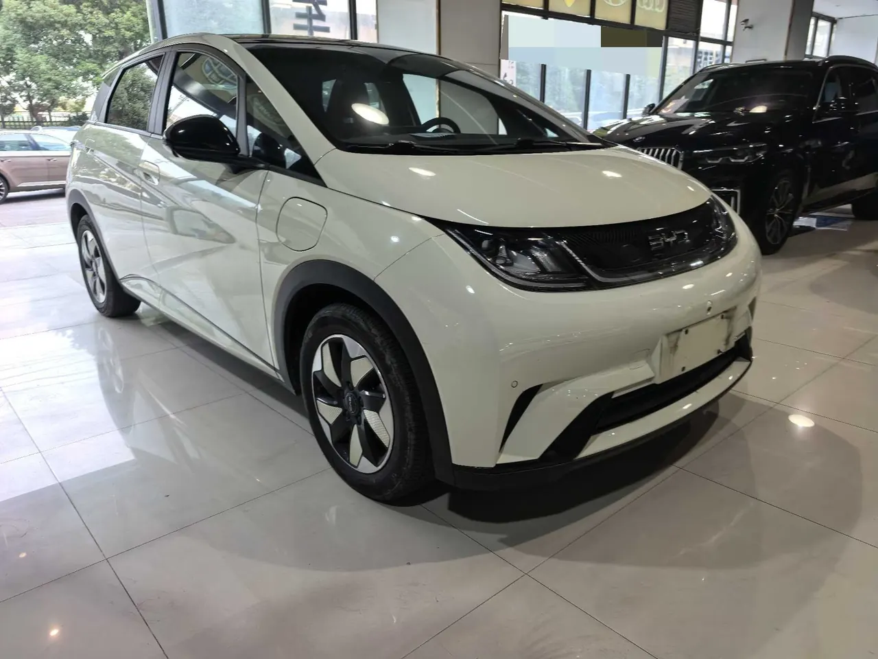 BYD 2023 Dolphin 420km Fashion Edition Automatic 2