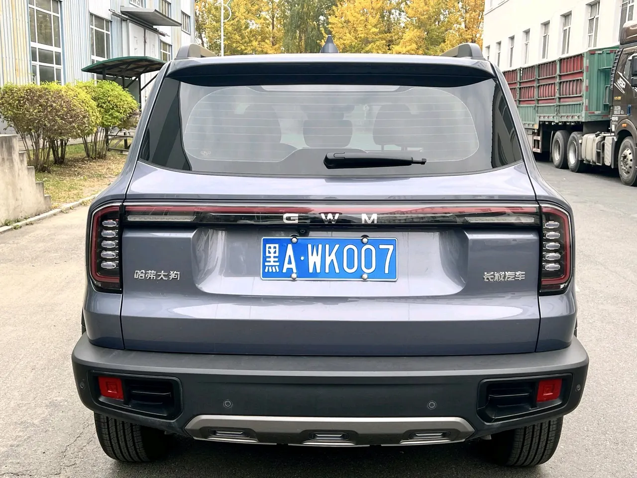 Haval 2026 model Big Dog 1.5T Border Collie Edition Automatic Transmission 3