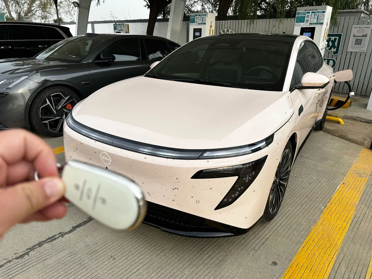Nissan 2025 N7 510 Max Automatic - View 1