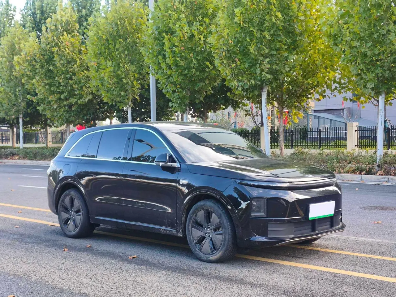 Li 2024 L6 Pro automatic gear 3