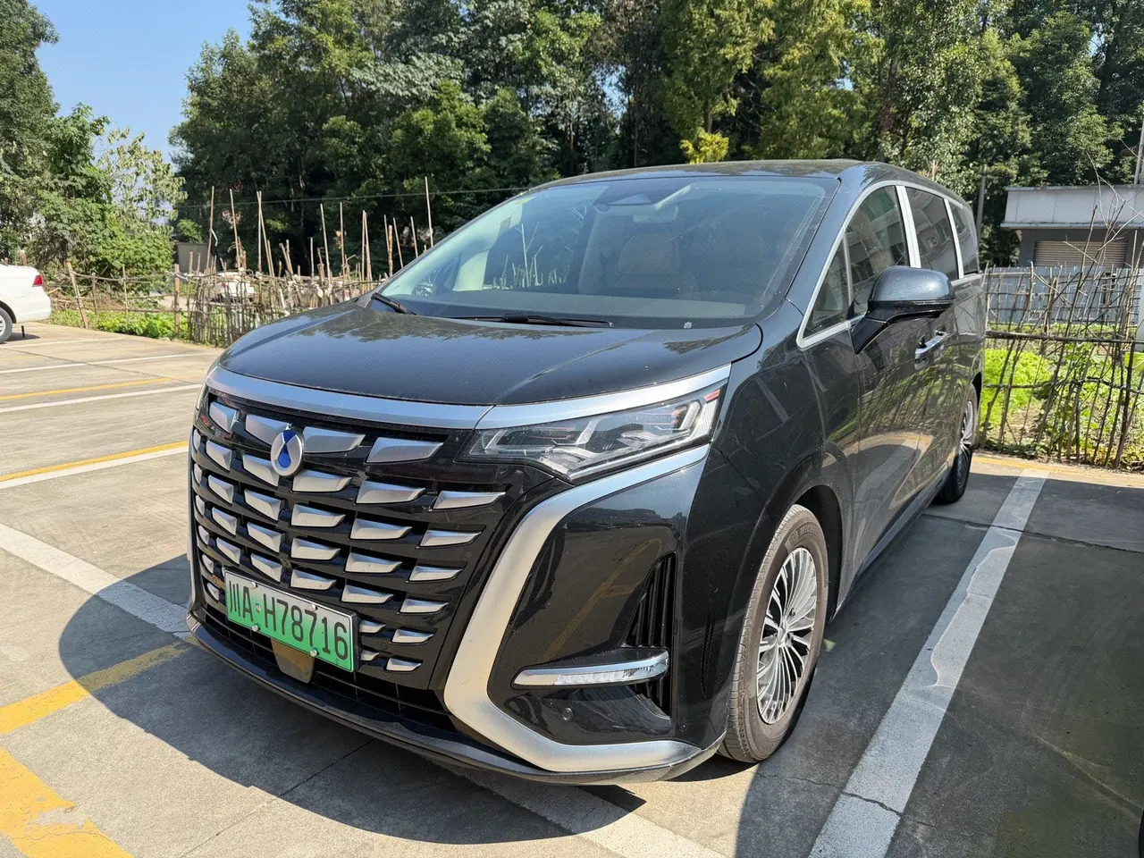 Denza 2024 Denza D9 DM-i 1.5T stepless 980 four-wheel drive distinguished automatic gear - View 1
