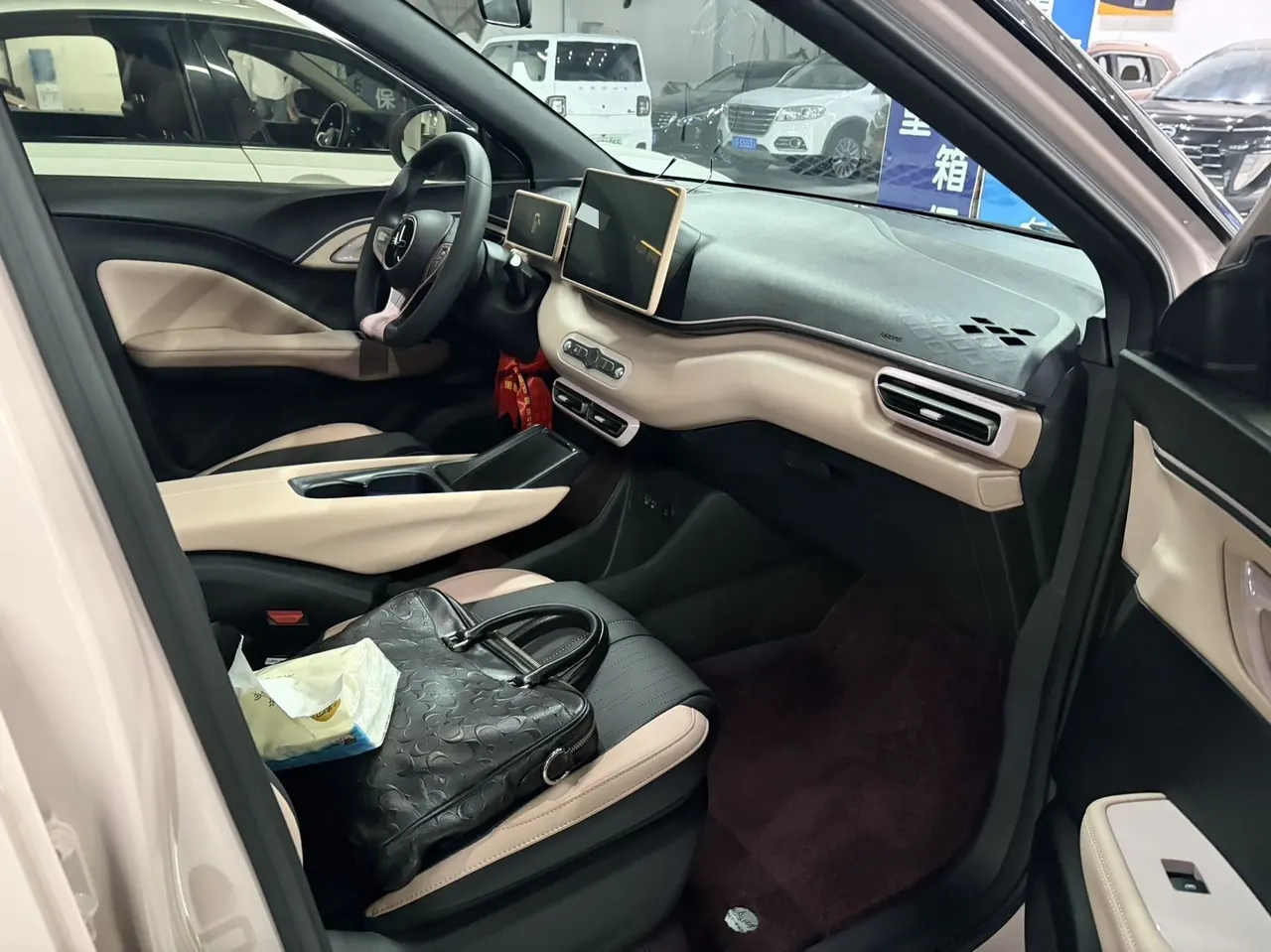 BYD 2025 Seagull Smart Driving Edition 305km Vital Edition Automatic Gear 4