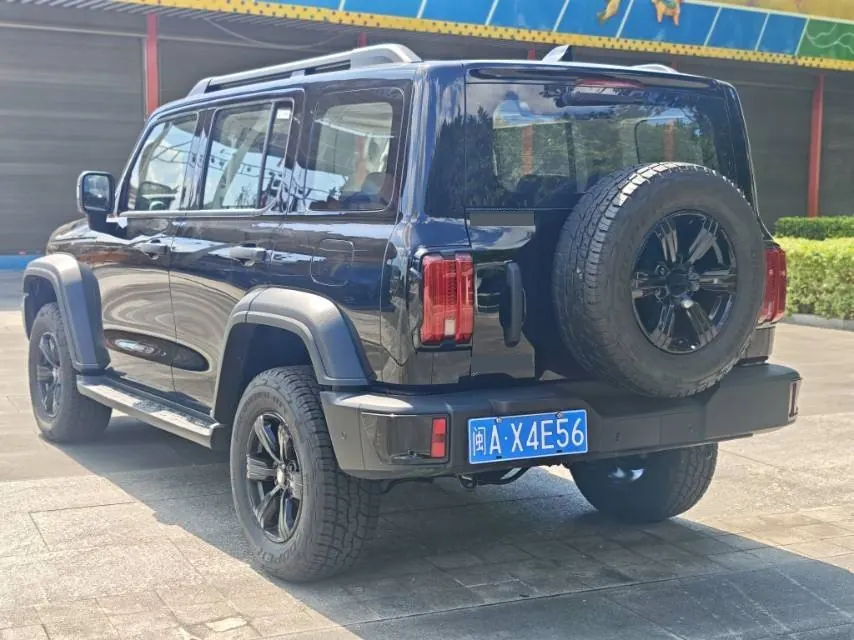 Tank 2025 Tank 300 2.4T Diesel Edition Automatic Gear 6