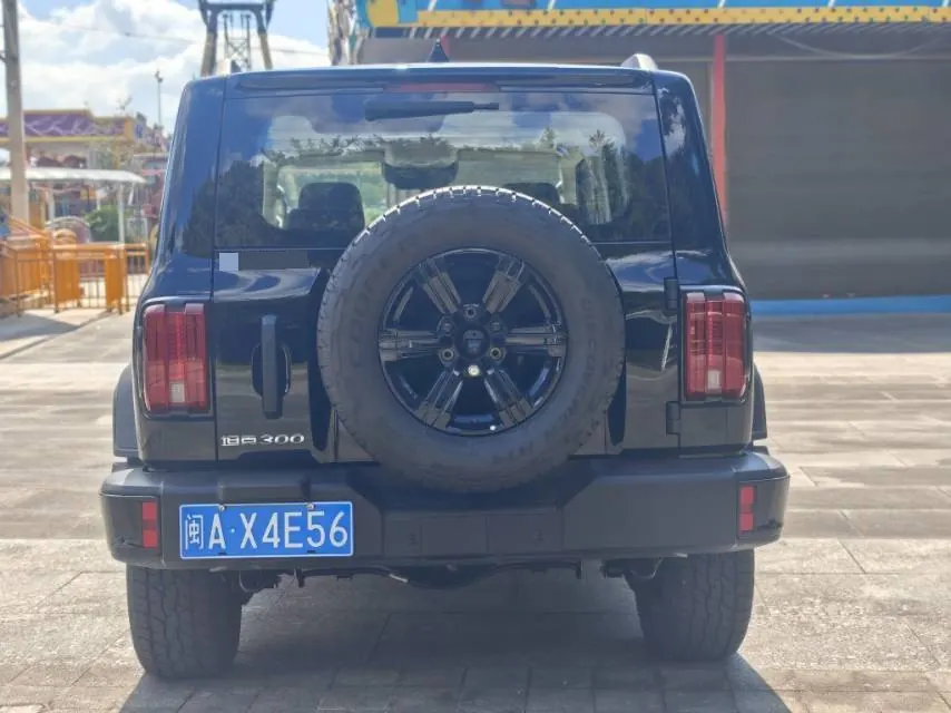 Tank 2025 Tank 300 2.4T Diesel Edition Automatic Gear 7