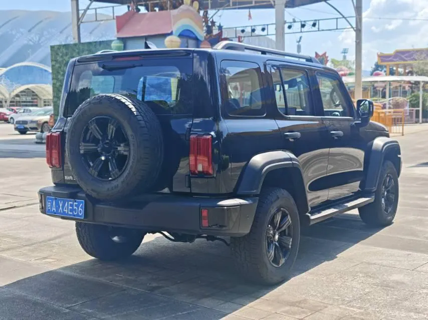 Tank 2025 Tank 300 2.4T Diesel Edition Automatic Gear 8