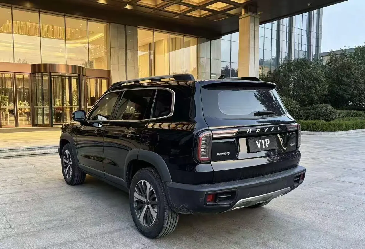 Haval 2021 Big Dogs 1.5T Border Animal Husbandry Wangcai Edition Automatic Gear 4