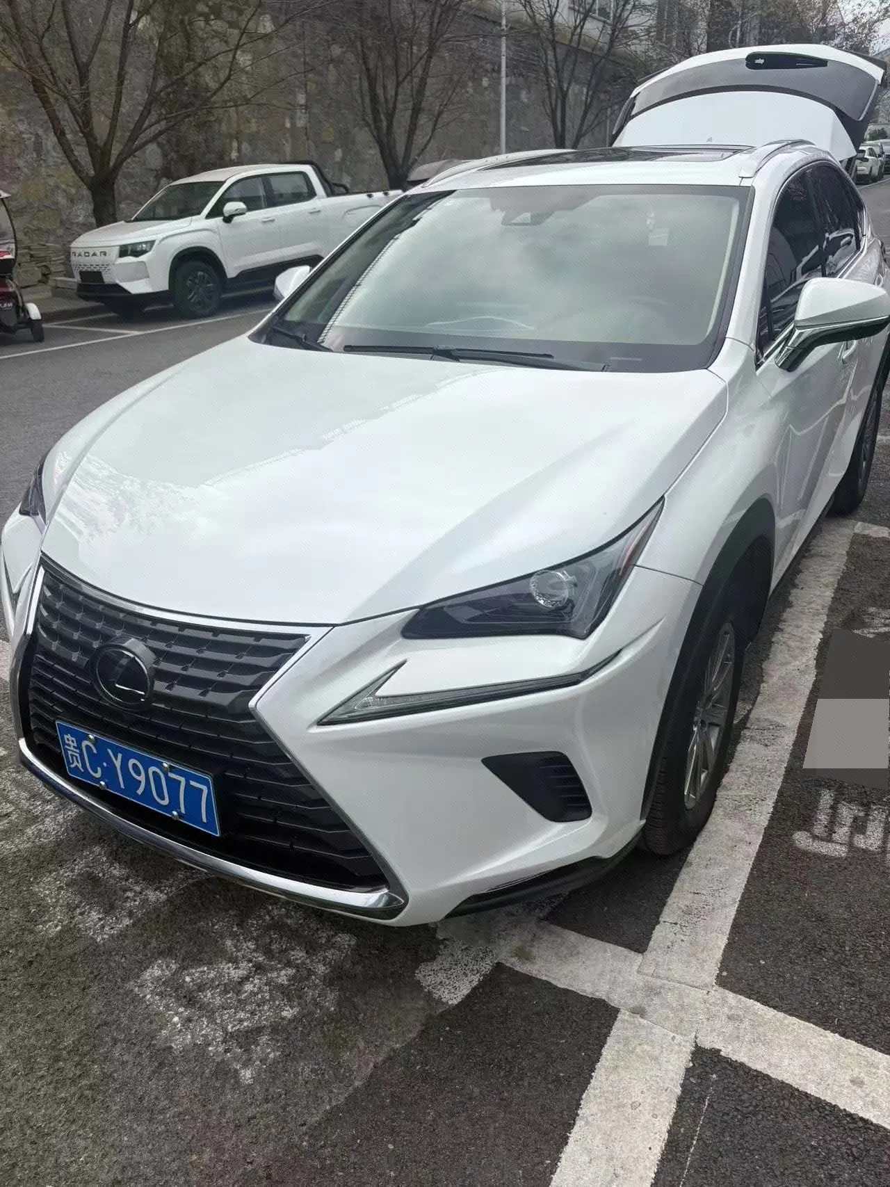 Lexus NX (Imported) 2020 NX200 2.0 Stepless Front Edition Automatic Gear - View 1