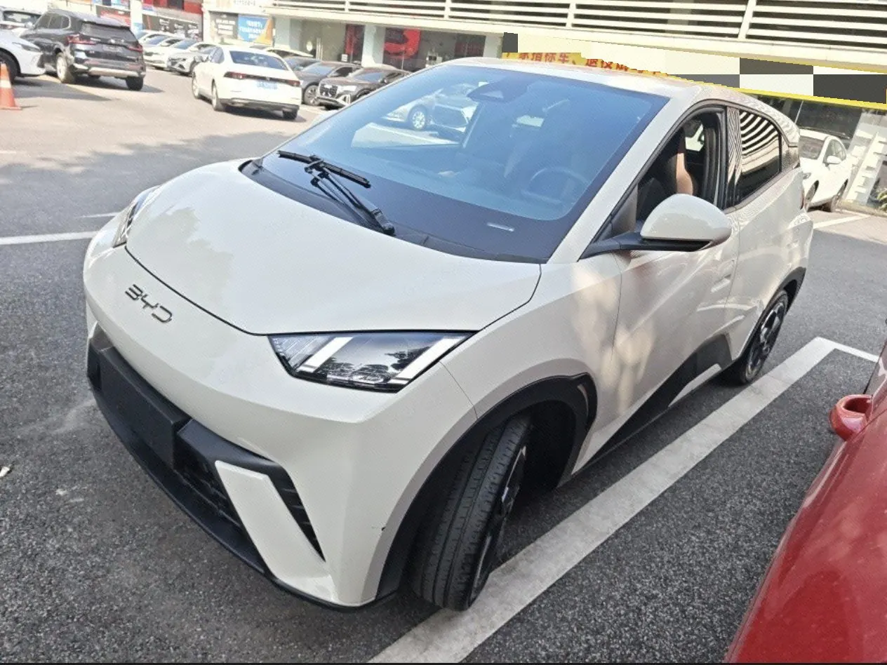 BYD 2023 seagull flying version automatic gear - View 1