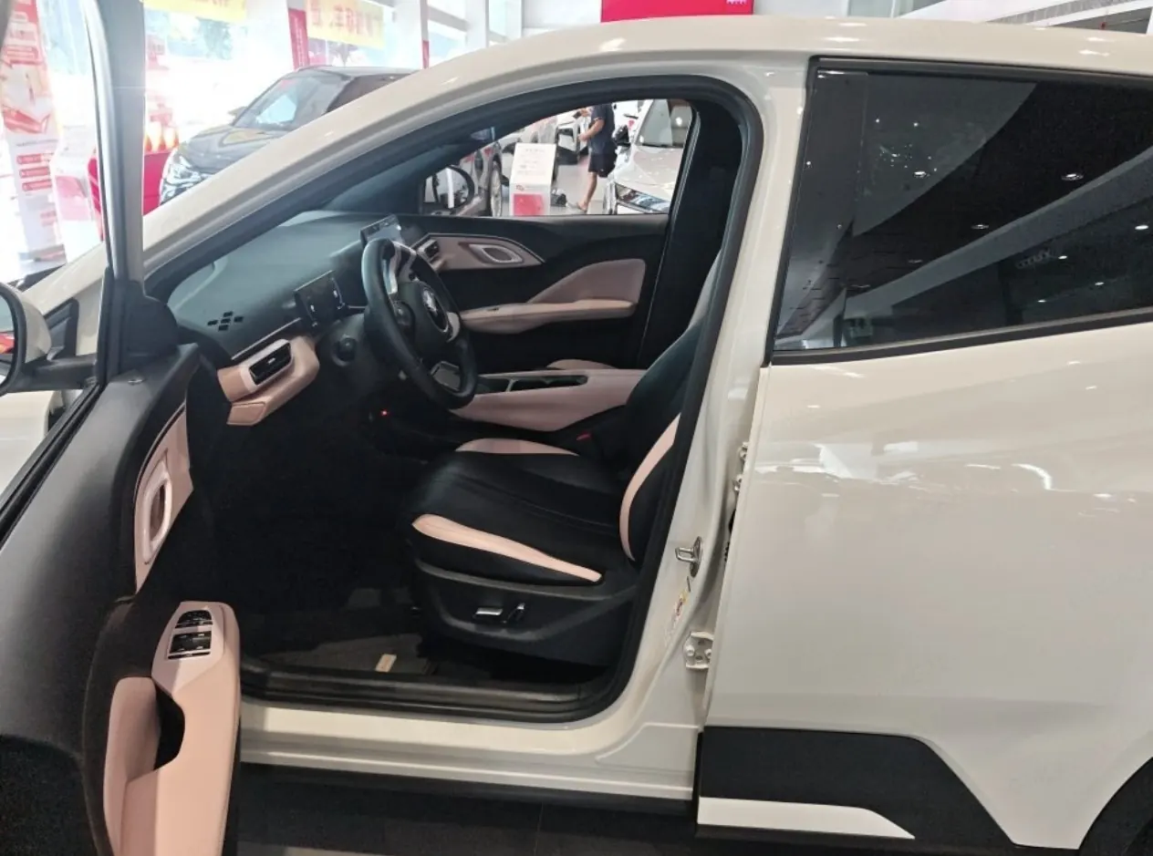 BYD 2023 seagull flying version automatic gear 5