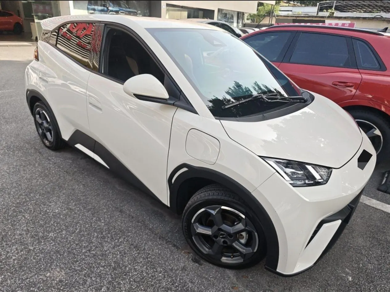BYD 2023 seagull flying version automatic gear 6