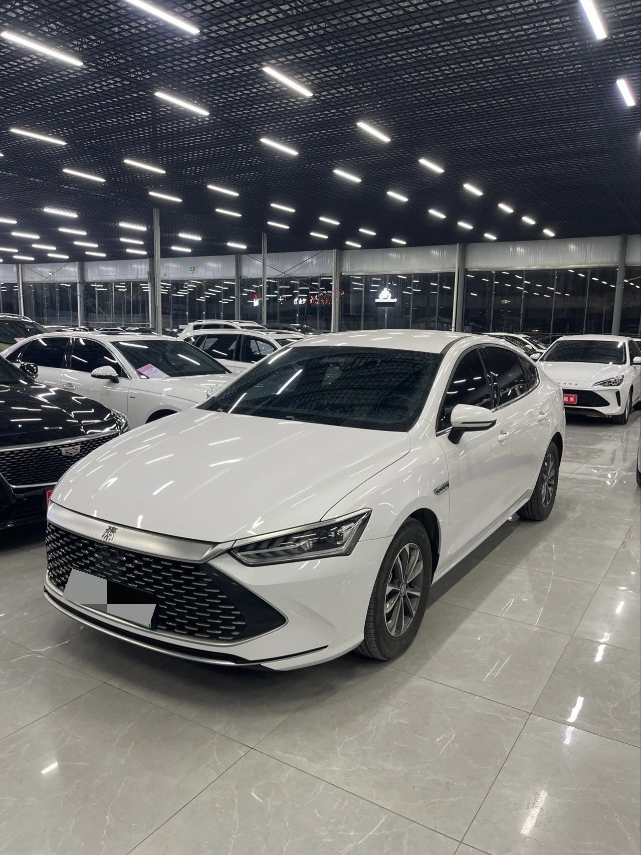 BYD 2024 Qin PLUS DM-i 1.5 stepless glory version 55KM leading automatic gear - View 1