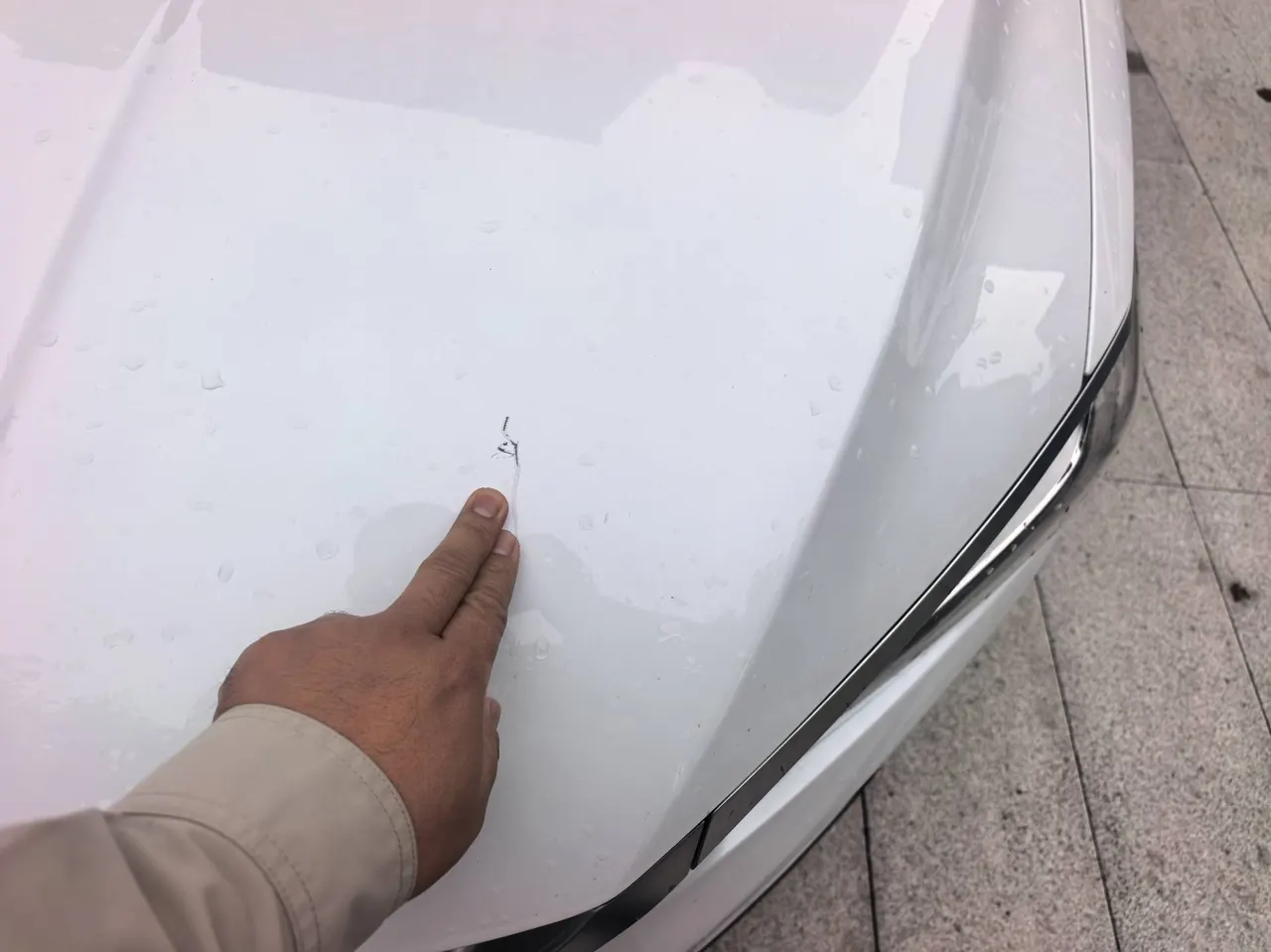 BYD 2024 Qin PLUS EV 510KM Glory Edition Leading Automatic Gear 13