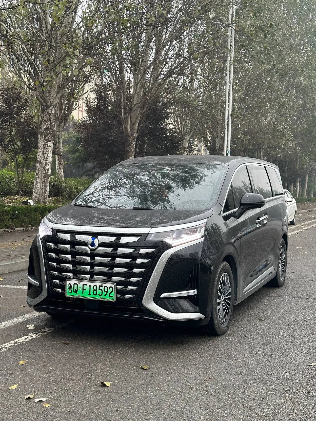 Denza 2024 Denza D9 DM-i 1.5T stepless 980 four-wheel drive distinguished automatic gear - View 1