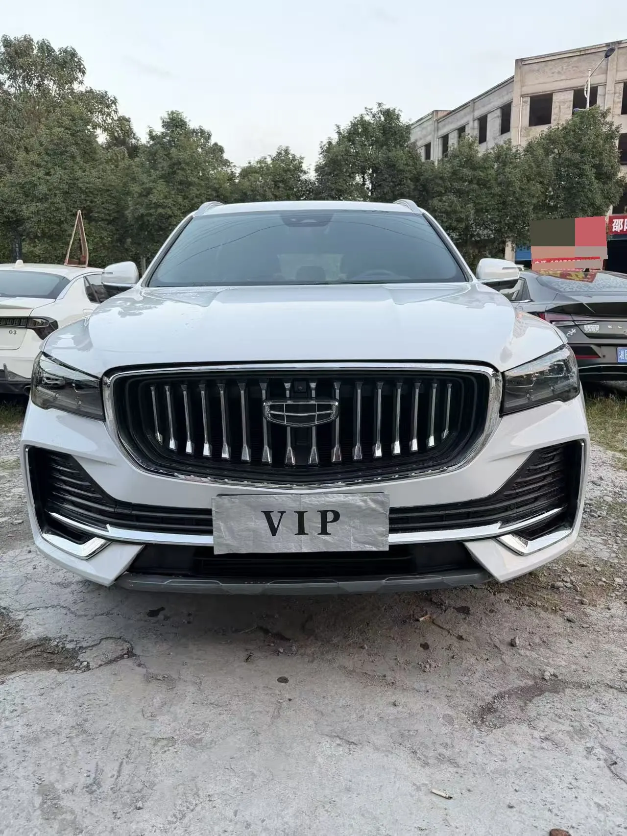 Geely 2024 XingyueL (Monjaro) 2.0TD High Power Two-Drive Enovate Edition Automatic Transmission 8