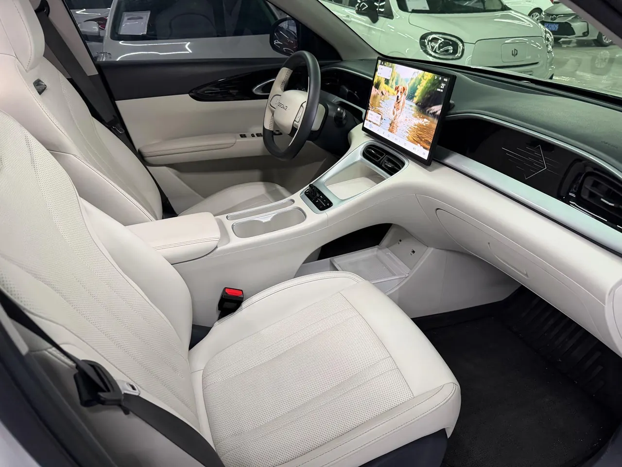 Geely 2024 Star Wish 310km Dream Edition Automatic Gear 3