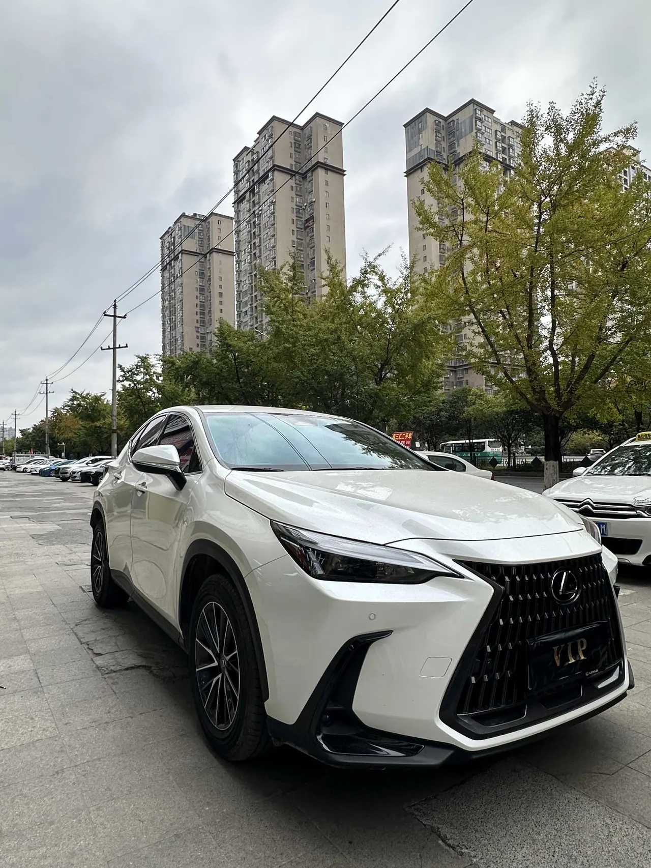 Lexus NX (Imported) 2022 NX350h 2.5 Stepless Creation Edition Automatic Gear 5