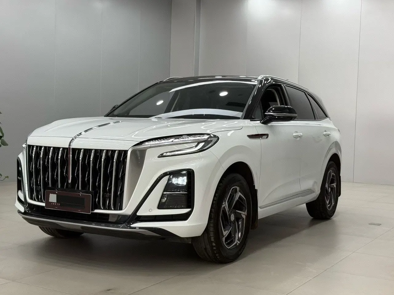 HongQi 2024 HS3 1.5T Good for Edition Automatic Gear - View 1