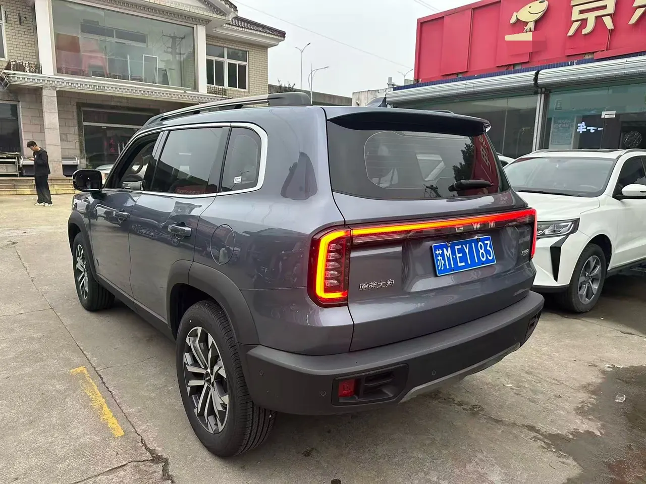 Haval 2024 big dog 1.5T Labrador version automatic gear 6