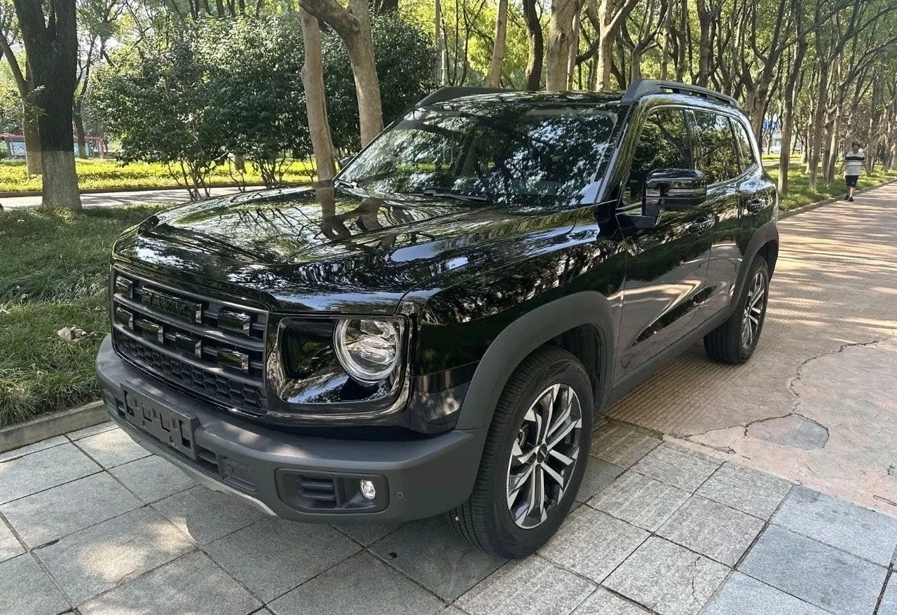 Haval 2026 big dog 2.0T Chinese garden dog version automatic gear - View 1