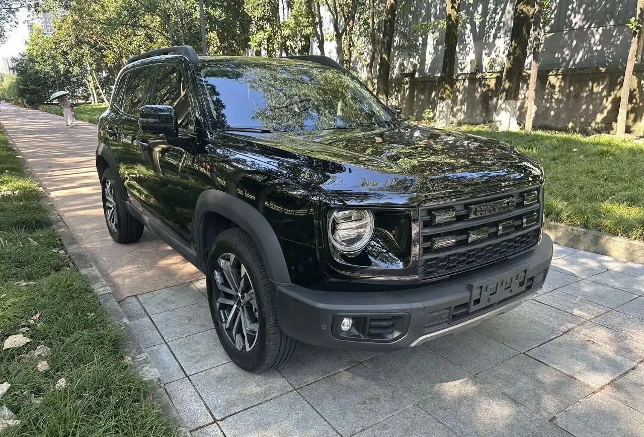 Haval 2026 big dog 2.0T Chinese garden dog version automatic gear 3