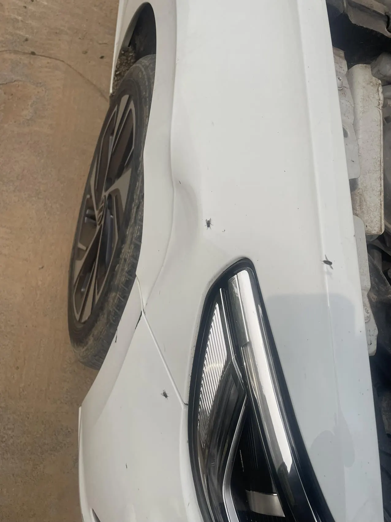 Volkswagen 2023 Bora 1.5TSI 300TSI Zunxing Edition Automatic Gear 2
