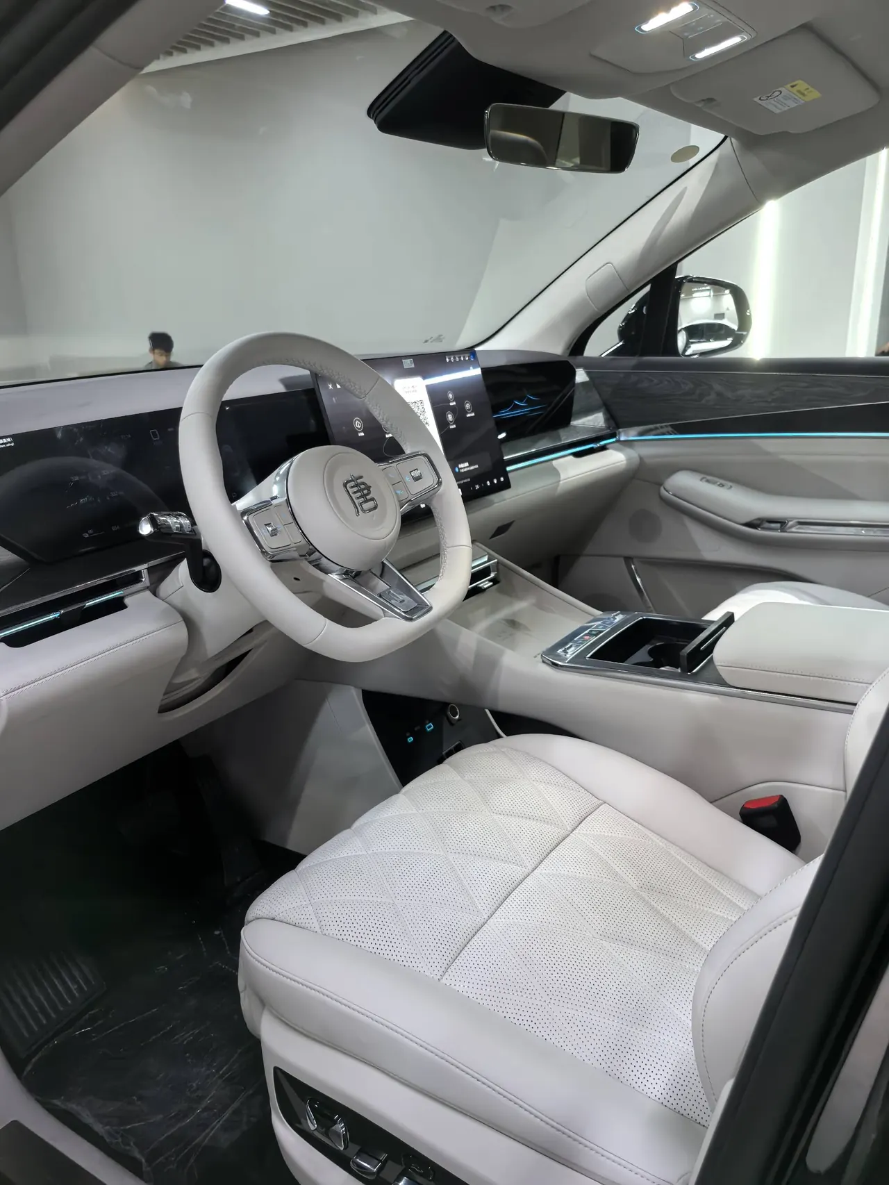 BYD 2026 Datang EV 950KM Rear Drive Laser Radar Flagship Automatic Gear 3
