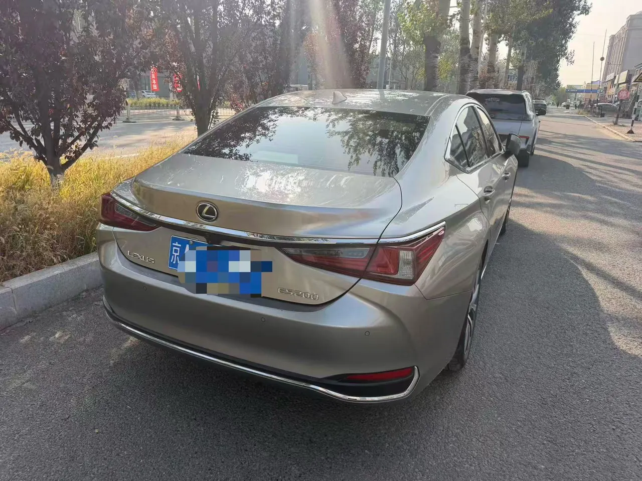 Lexus ES (Imported) 2020 ES200 2.0 Stepless Premium Edition Automatic Gear 3