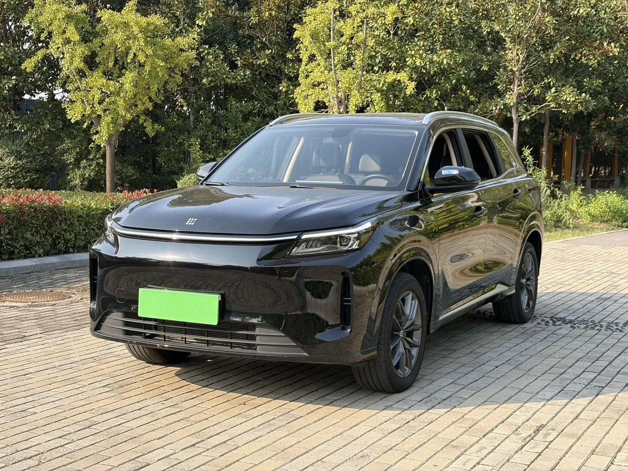 LanDian 2025 LanDian E5 PLUS 1.5 Stepless 165km Long Endurance First Edition 7-seat Automatic Gear - View 1