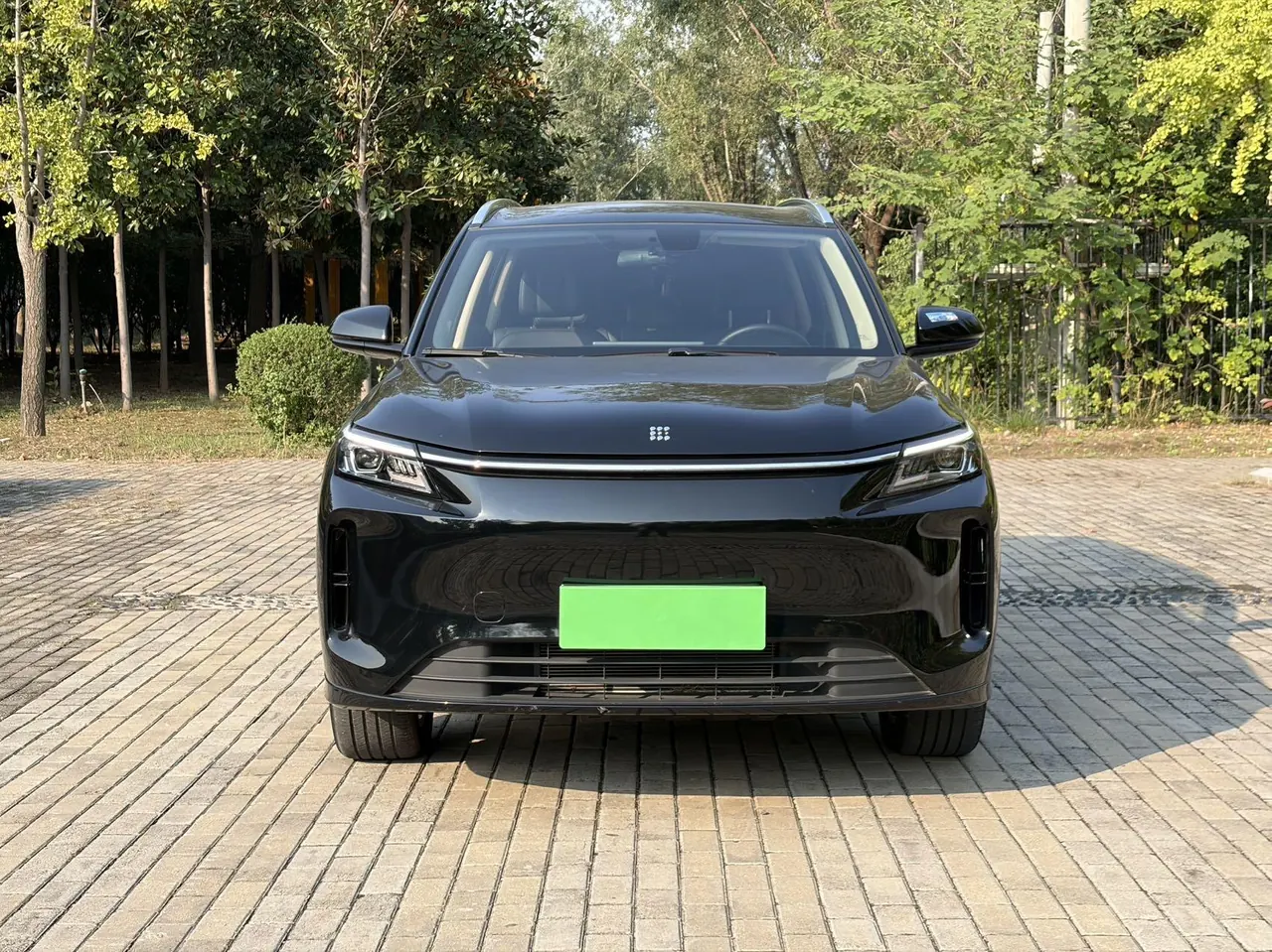 LanDian 2025 LanDian E5 PLUS 1.5 Stepless 165km Long Endurance First Edition 7-seat Automatic Gear 2