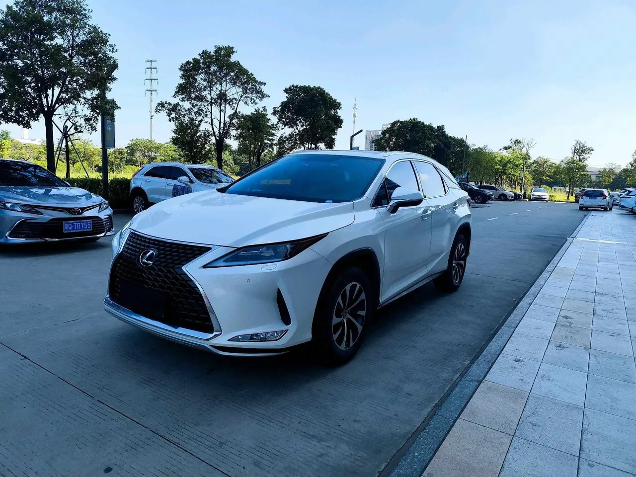 Lexus RX (Imported) 2020 RX300 2.0T Two-Drive Elite Edition (Revised) Automatic Gear - View 1