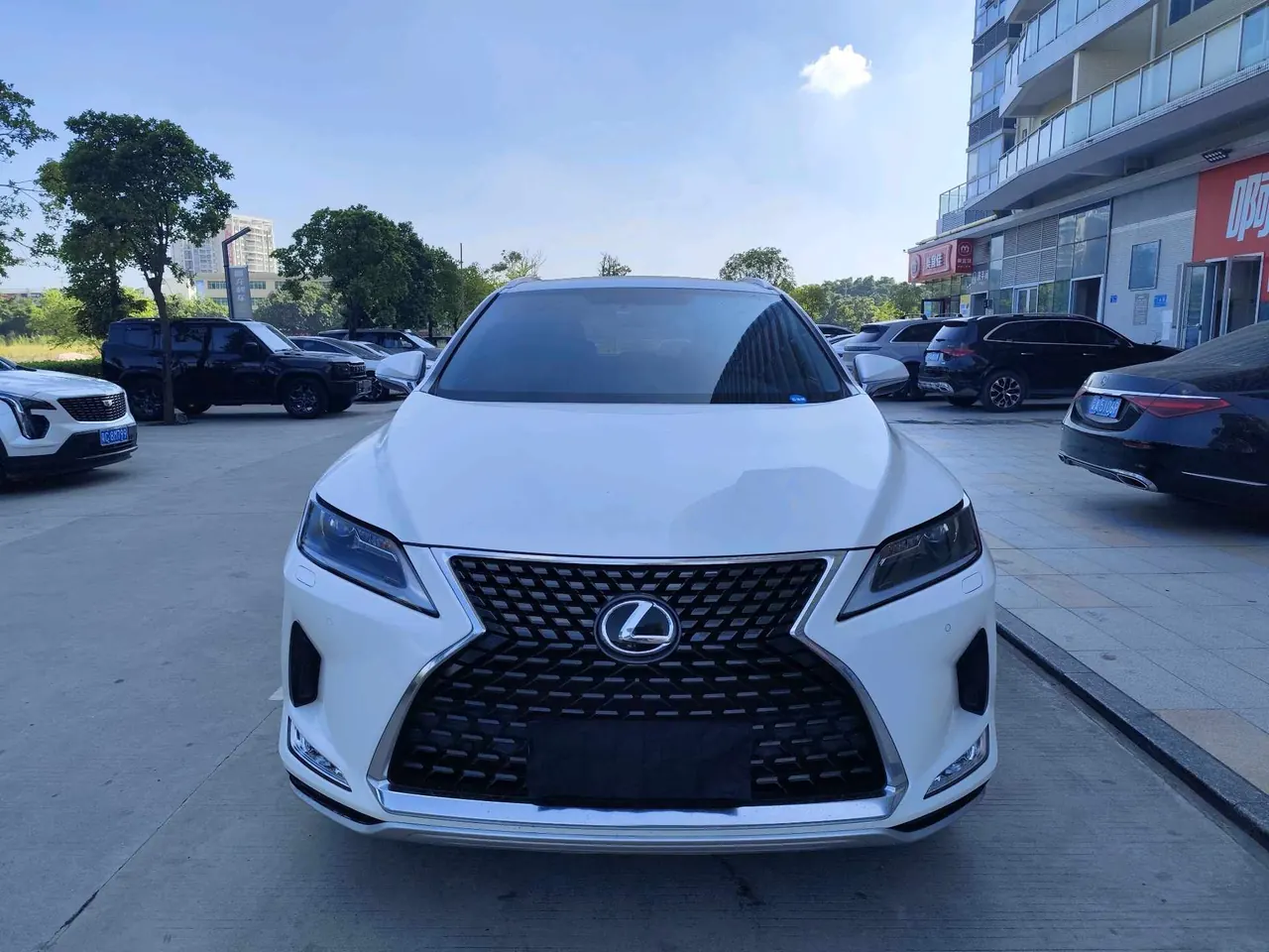 Lexus RX (Imported) 2020 RX300 2.0T Two-Drive Elite Edition (Revised) Automatic Gear 2