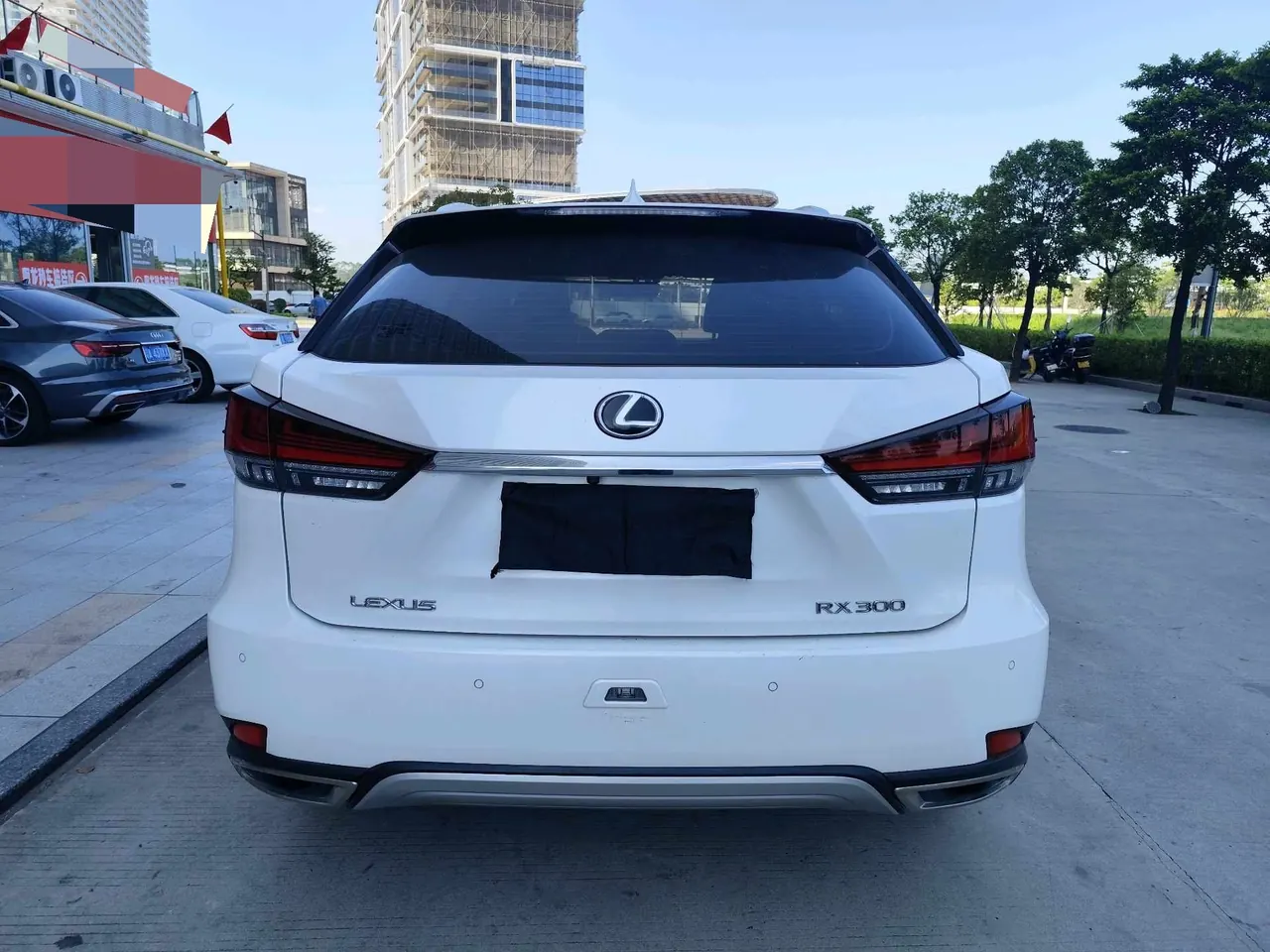 Lexus RX (Imported) 2020 RX300 2.0T Two-Drive Elite Edition (Revised) Automatic Gear 5