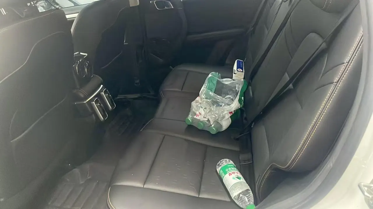 Haval 2021 Big Dog 1.5T Horse Dog Wangcai Edition Automatic Gear 5
