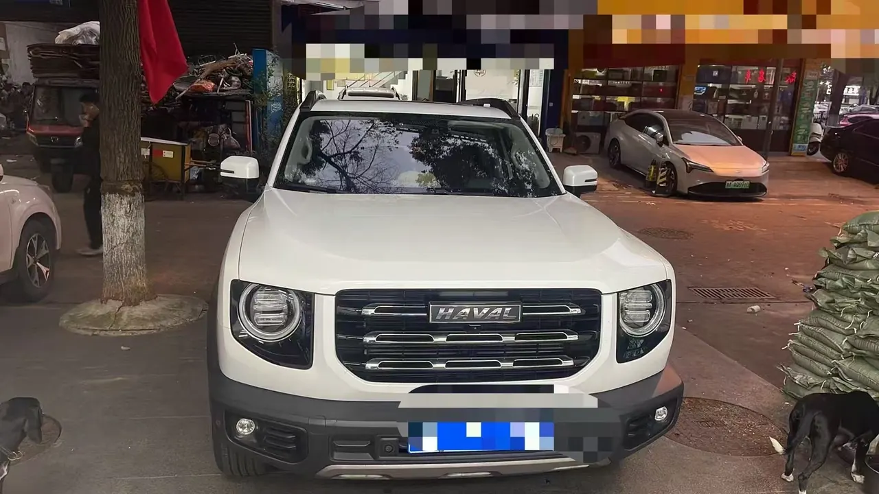 Haval 2021 Big Dog 1.5T Horse Dog Wangcai Edition Automatic Gear 7