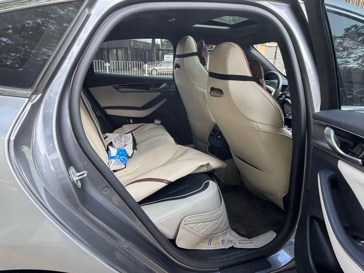 BYD 2021 Qin PLUS EV 500KM Honorable Automatic Gear 6