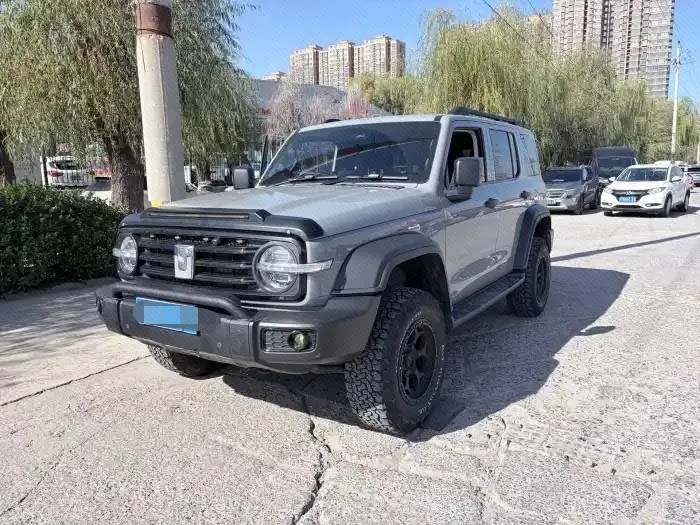 Tank 2021 Tank 300 2.0T Off-road Conqueror Automatic - View 1