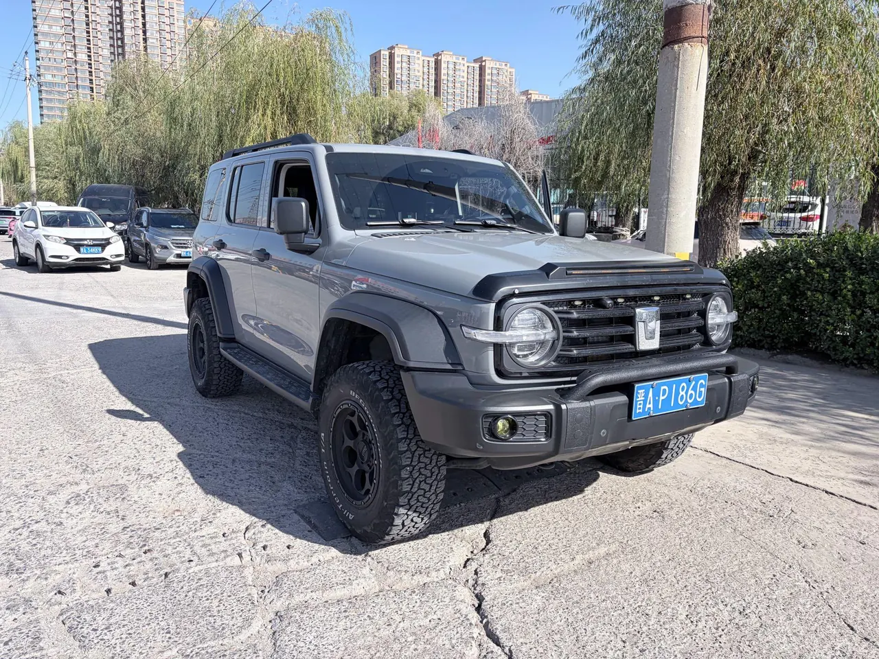 Tank 2021 Tank 300 2.0T Off-road Conqueror Automatic 2