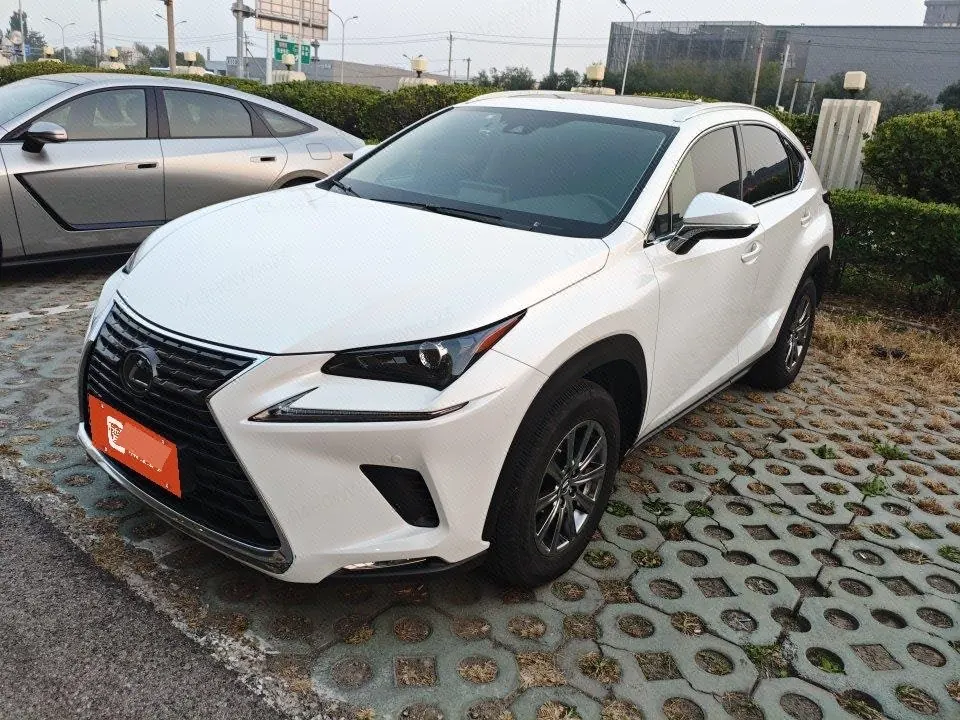 Lexus NX (Imported) 2020 NX200 2.0 Stepless Front Edition Automatic Gear - View 1