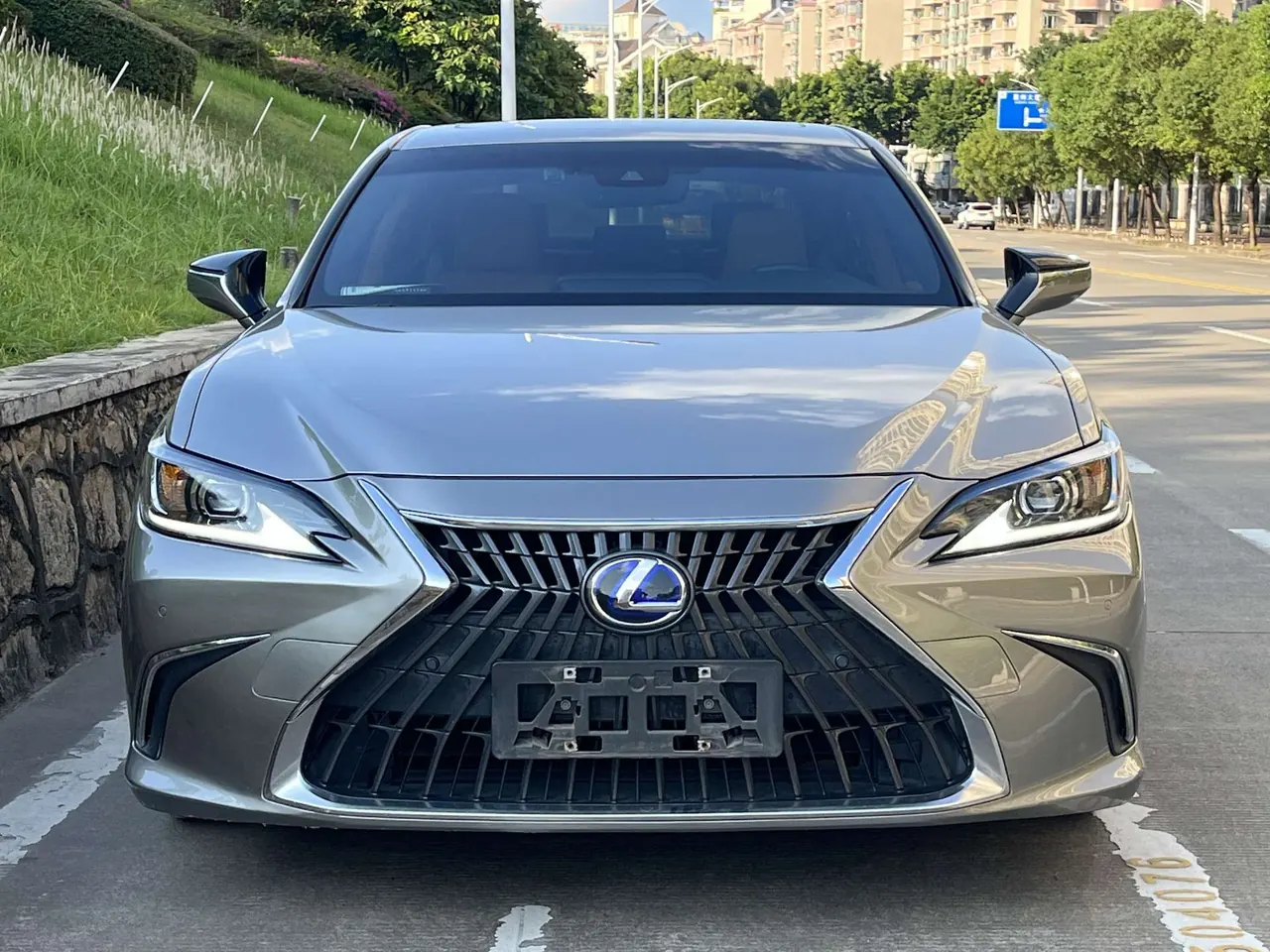 Lexus ES (Imported) 2021 ES300h 2.5 Stepless Excellence Edition Automatic Gear 2