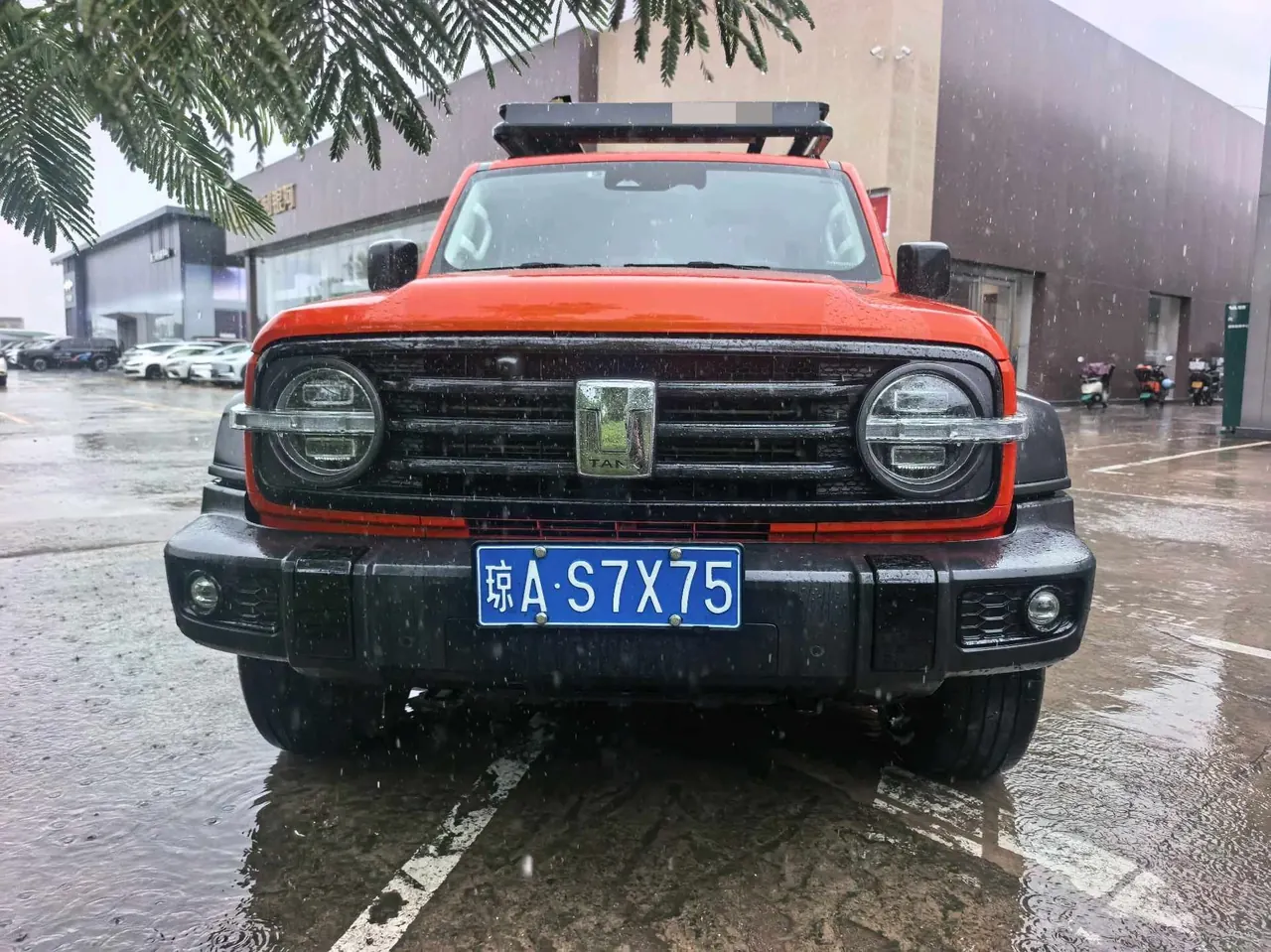 Tank 2021 Tank 300 2.0T Off-road Conqueror Automatic 2