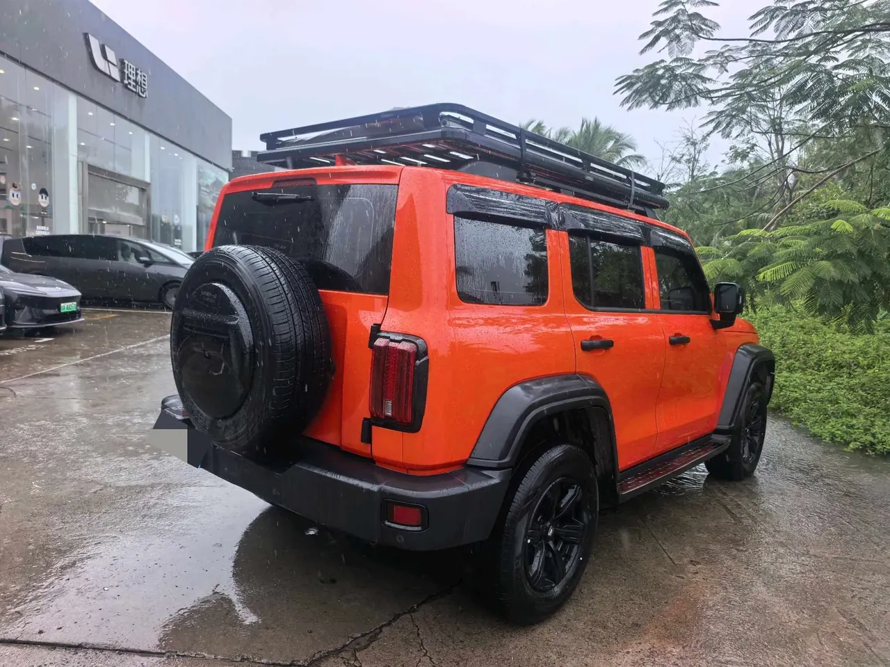 Tank 2021 Tank 300 2.0T Off-road Conqueror Automatic 5