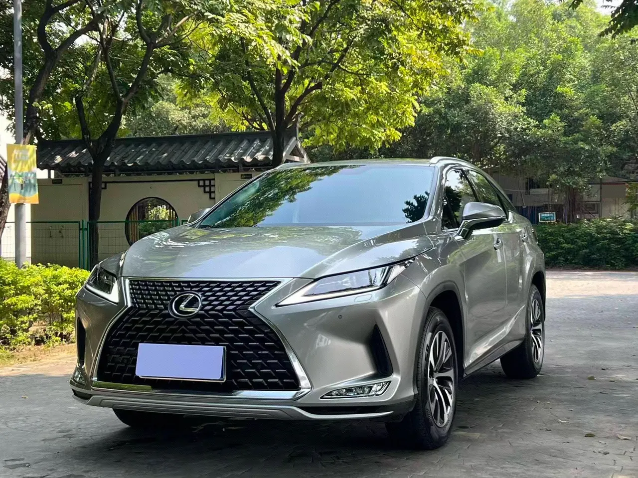 Lexus RX (Imported) 2020 RX300 2.0T Two-Drive Elite Edition (Revised) Automatic Gear - View 1