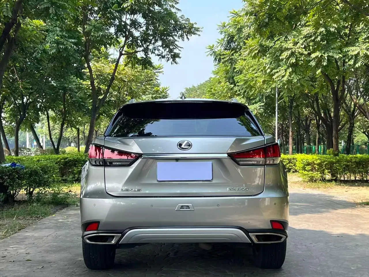Lexus RX (Imported) 2020 RX300 2.0T Two-Drive Elite Edition (Revised) Automatic Gear 2