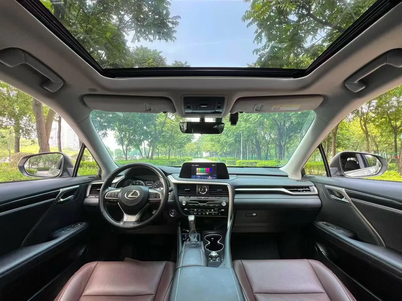 Lexus RX (Imported) 2020 RX300 2.0T Two-Drive Elite Edition (Revised) Automatic Gear 4