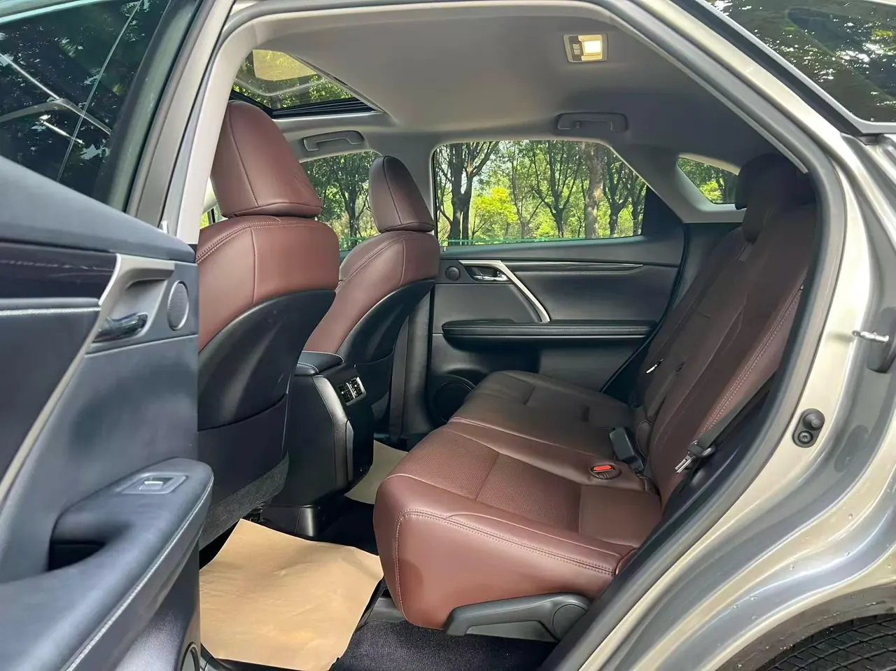 Lexus RX (Imported) 2020 RX300 2.0T Two-Drive Elite Edition (Revised) Automatic Gear 5
