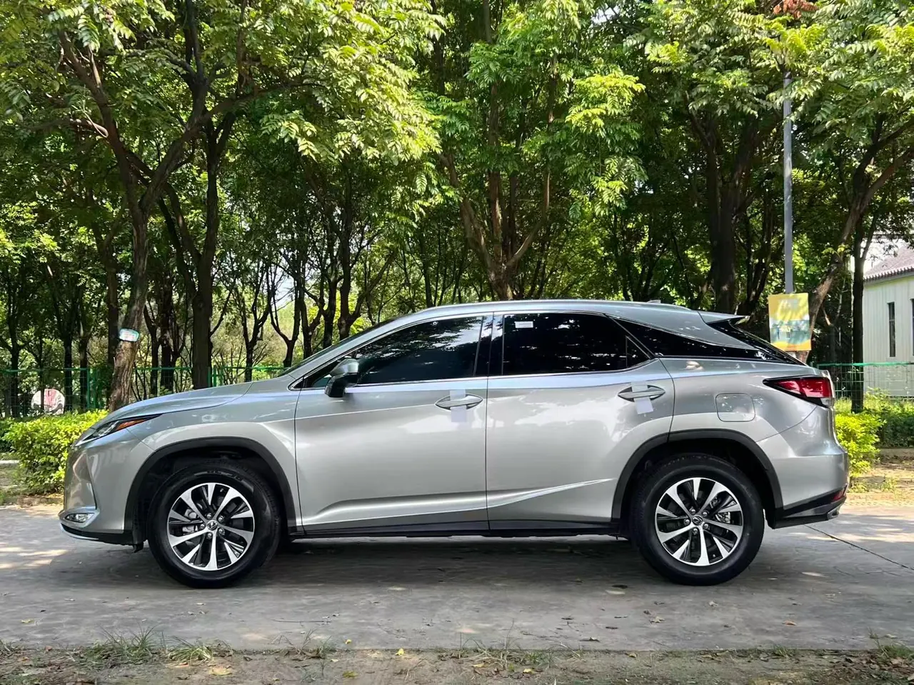 Lexus RX (Imported) 2020 RX300 2.0T Two-Drive Elite Edition (Revised) Automatic Gear 6